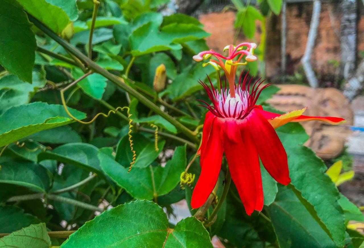 ホテル Stanley Lombok マタラム エクステリア 写真